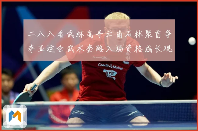 二八八名武林高手云南石林聚首争夺亚运会武术套路入场资格成长观察